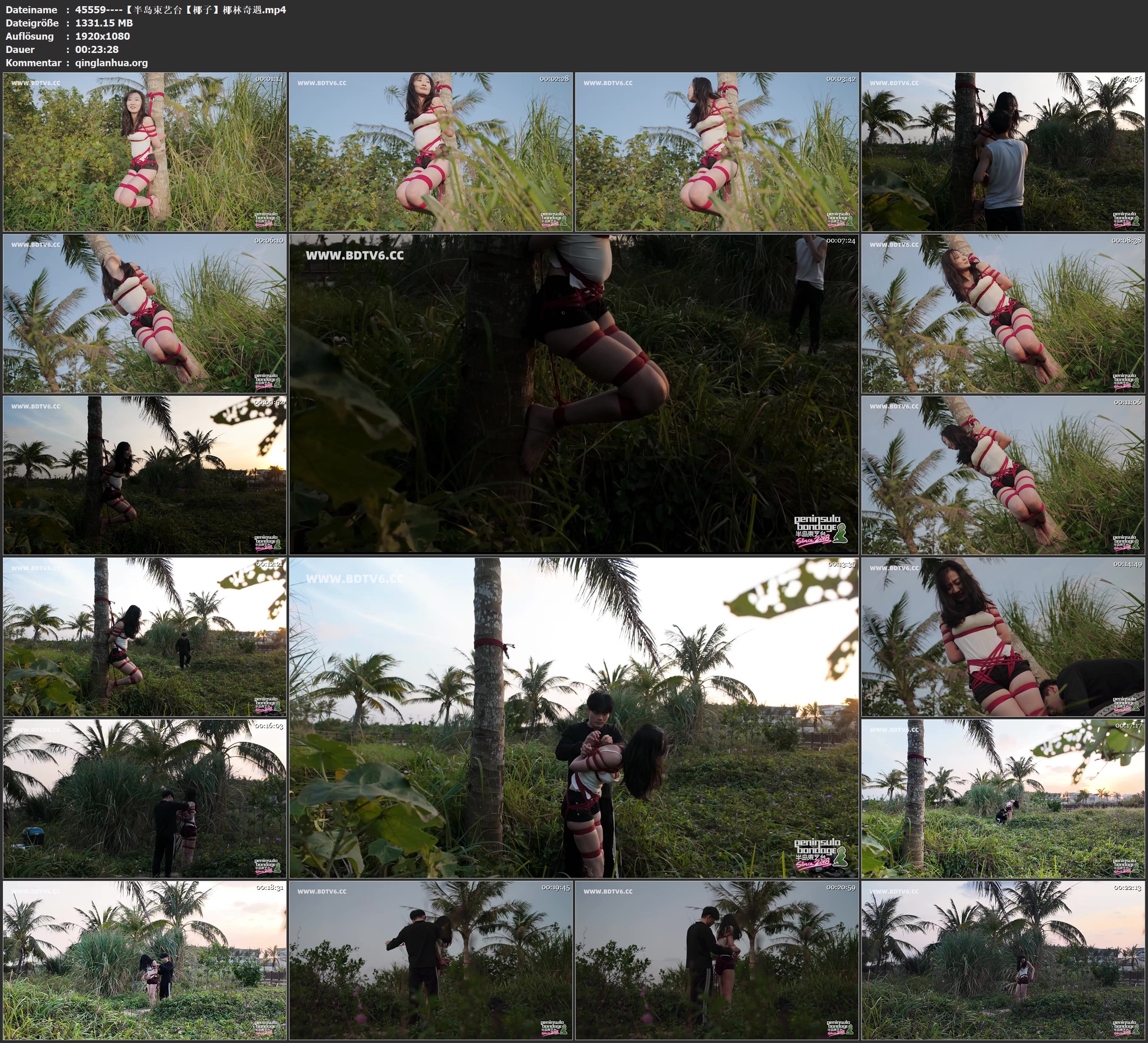 45559----【半岛束艺台【椰子】椰林奇遇.jpg