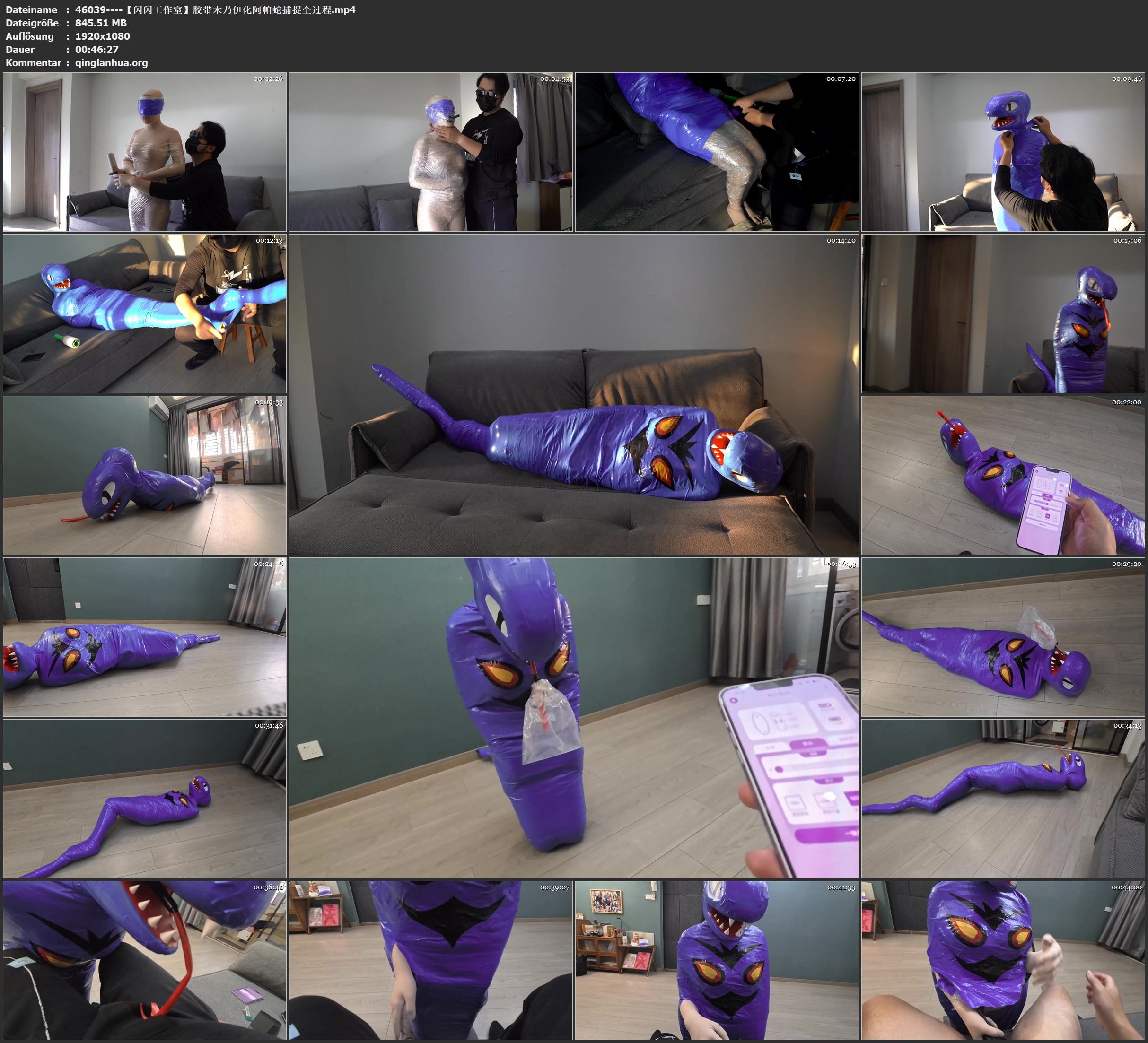 46039----【闪闪工作室】胶带木乃伊化阿帕蛇捕捉全过程.jpg