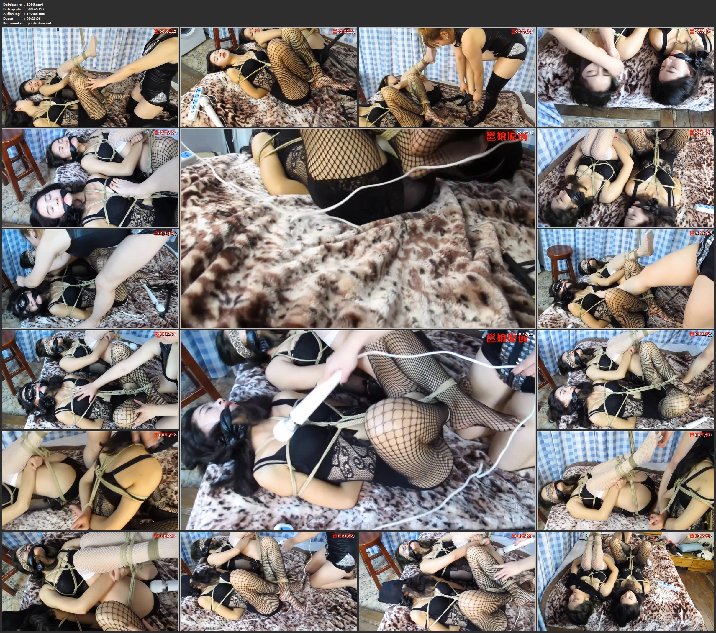 1386.jpg