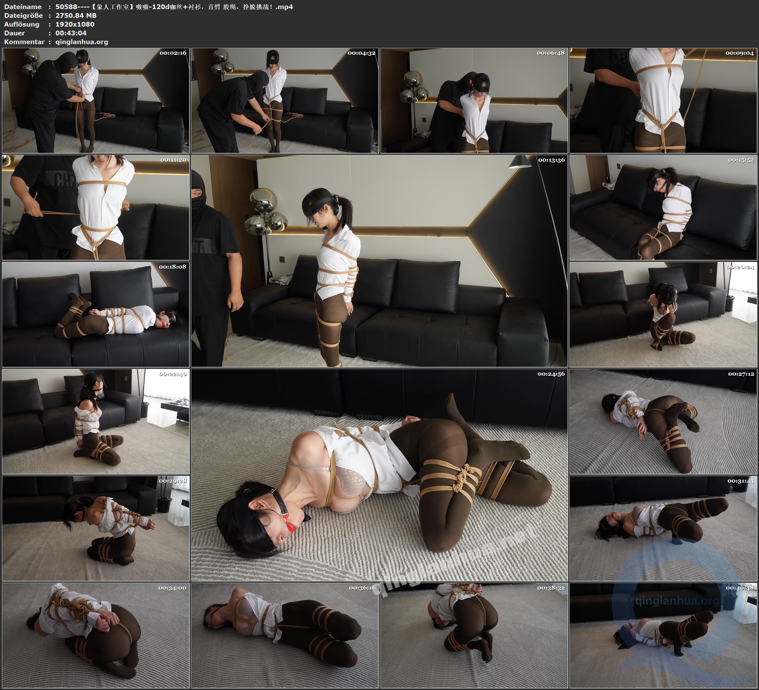 50588----【象人工作室】嗷嗷-120d咖丝 衬衫，直臂 股绳，挣脱挑战！.jpg