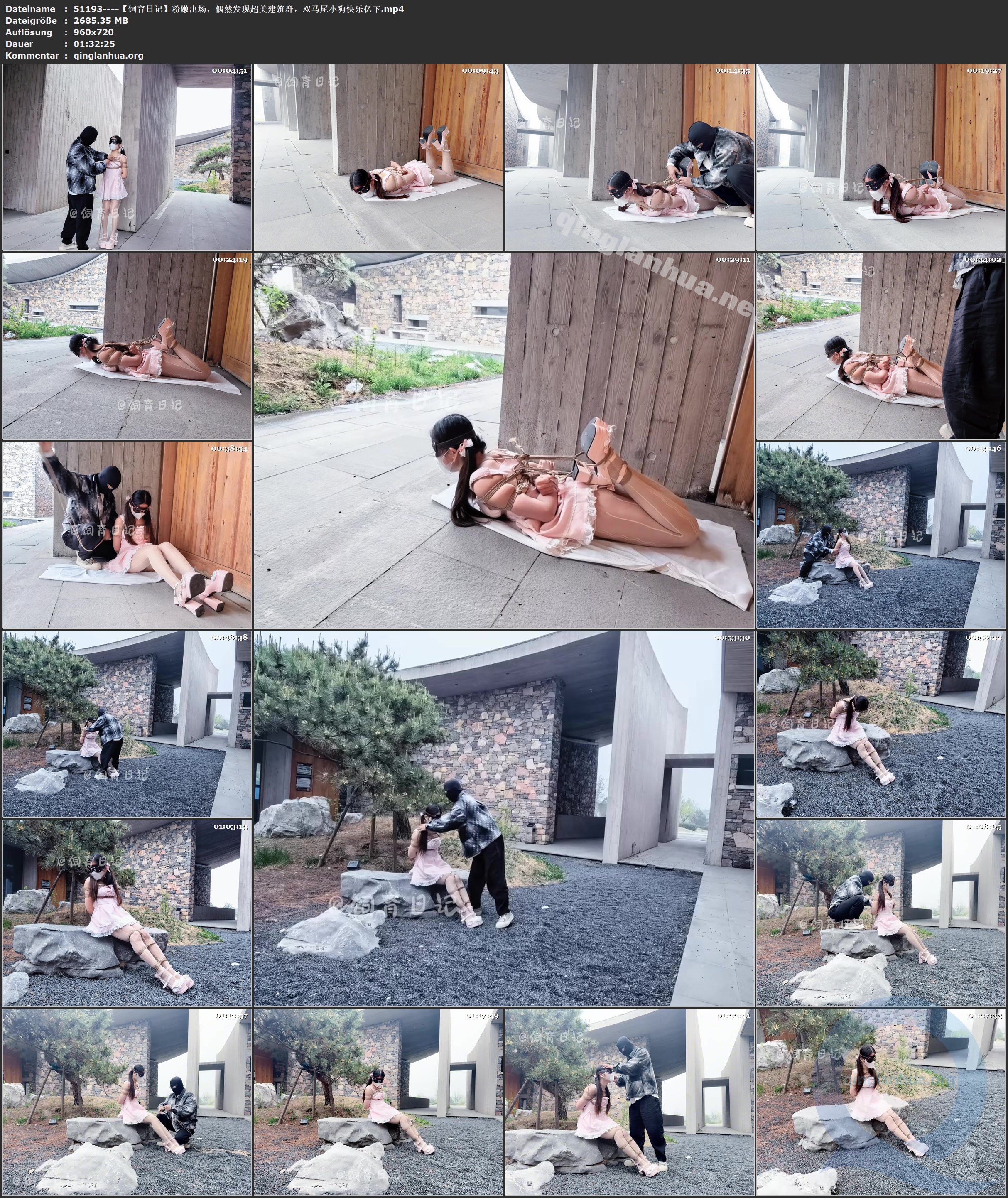 51193----【饲育日记】粉嫩出场，偶然发现超美建筑群，双马尾小狗快乐亿下.jpg